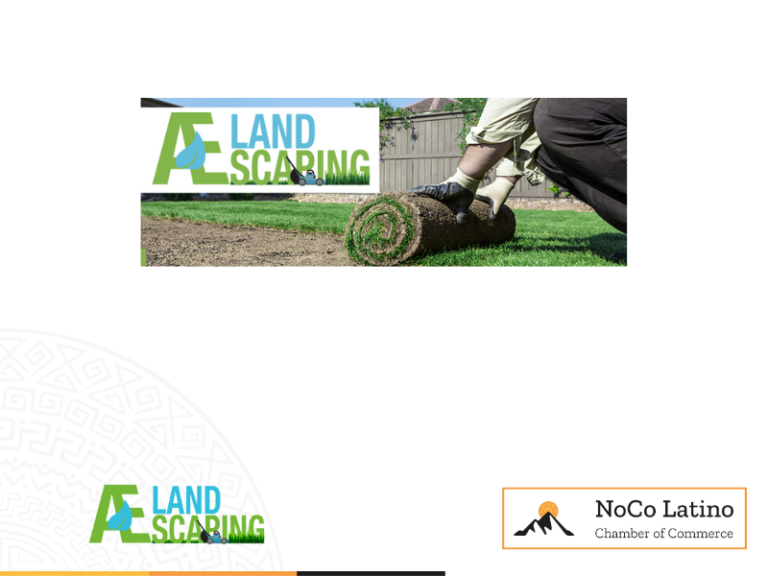 AE Landscaping“>															</a>		        <div class=