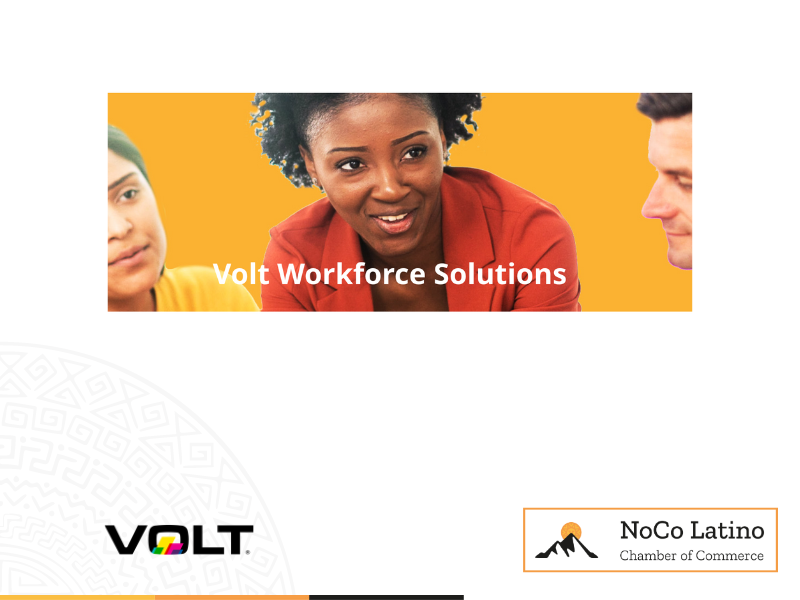 volt workforce solutions number